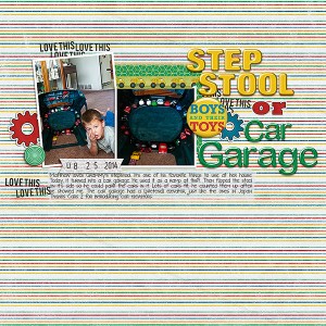 2014-Step-Stool-Car-Garage