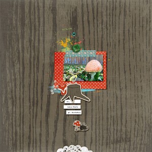 Mr. Toadstool