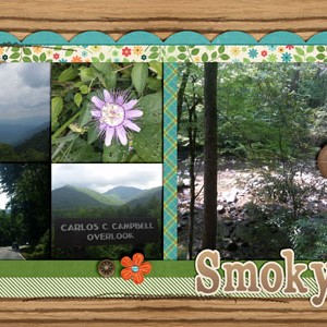 Smoky Mountains TN