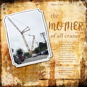 1610Photography Mother-of-All-Cranes