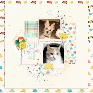Dogs Cats