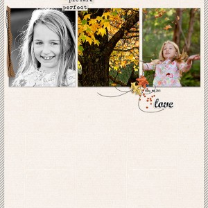 PICTURE PERFECT