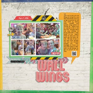 Trying a Wall Wing