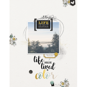 Life Should be Lived in Color