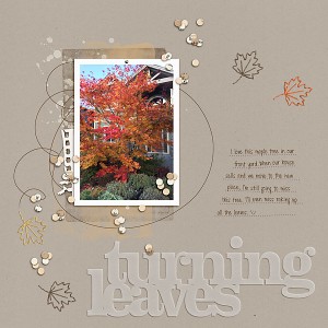 20161020_Turning Leaves