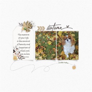 Autumn Quote