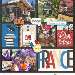 Project Mouse World - France