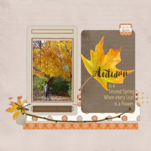 November Scraplift Challenge