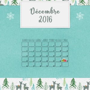 Decembre 2016 - DD cover