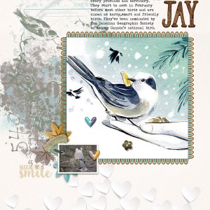 I (Heart) Gray Jays