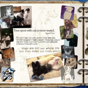 [GRATITUDE] PETS