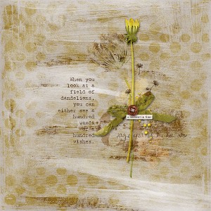 Dandelions