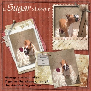 Sugar-shower