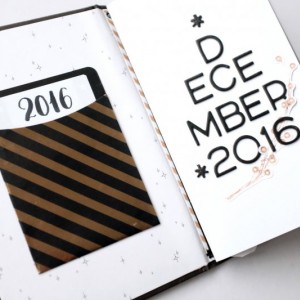 DD2016_cinback_pocketpg 1