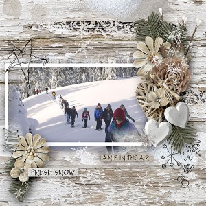 Trekking in the Snow