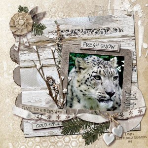 Frostbite snow leaopard
