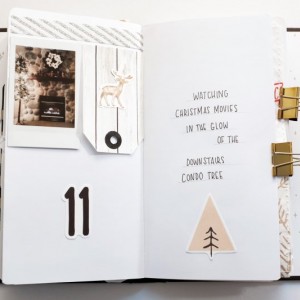 DD2016_cinback_fireplace 1