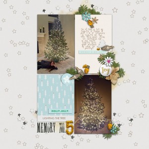 2016 DYD: Lighting the tree