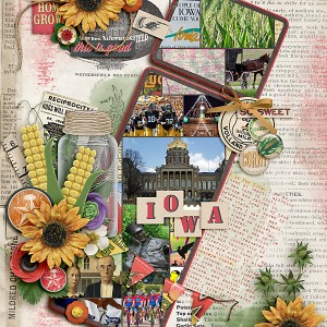 MOC 1-1-2017 I Is For Iowa