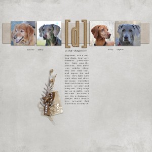 d is for dogmom