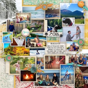 2016 Year in Review