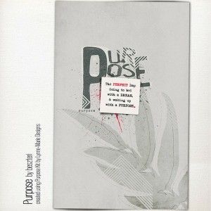 Purpose