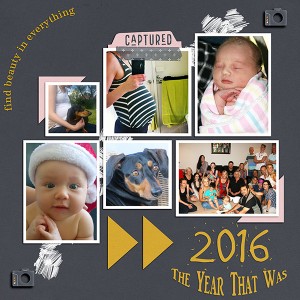 The Year That Was