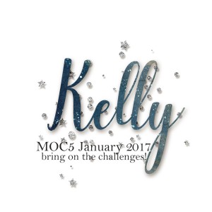 Web-2017-01 Siggy
