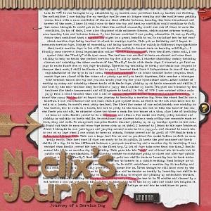 Neelix's Journey