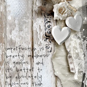 Imperfection Is Beauty MOC D5