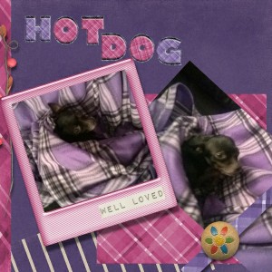 Day 4 Hot Dog