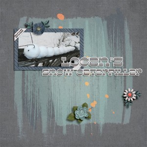 SnowCaterpillar