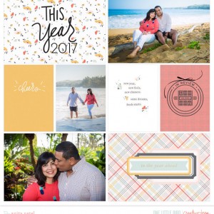 Onelittlebird-thisyear-byanitapatel