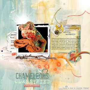 Magical Creature: Chameleon