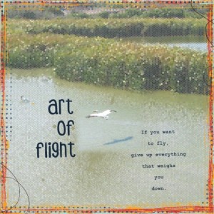 Art Of Flight MOC5 Day6