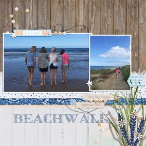 MOC17/12 - Beachwalk