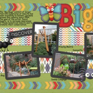 Big-Bugs---Pg-1 - MOC #5-14