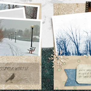 MISSOULA WINTER