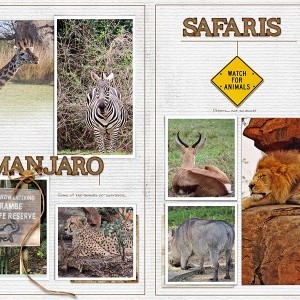 Kilimanjaro Safaris