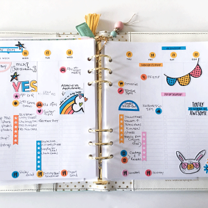 Jan Planner ST 2017