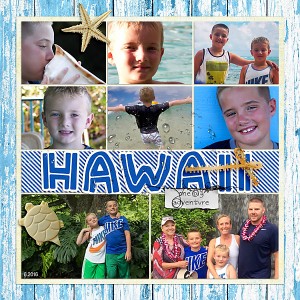 Moc 1-18-2017 2016 Hawaii