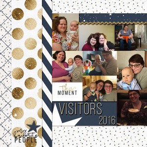 Visitors2016A