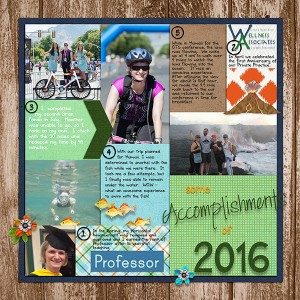 MOC 19: 2016-accomplishments