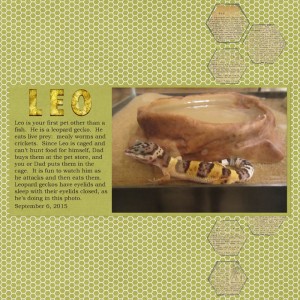 MOC 5 - Challenge 8 - Leo
