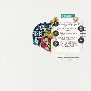 Document-small-accomplishments