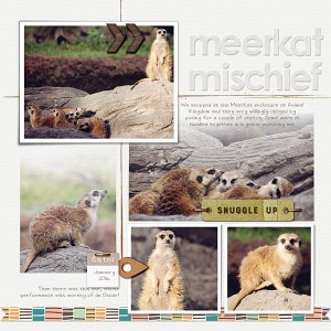 Meerkat Mischief