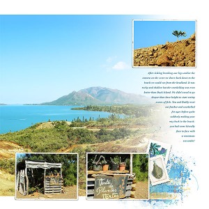 Plum, Noumea