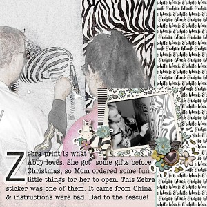 12262016-zebra-sticker-copy