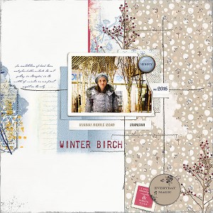 Winter Birch