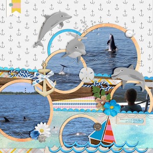 Dolphins!